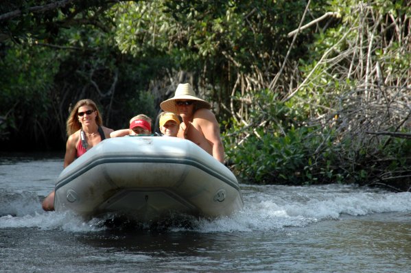 Jungle tour anyone?